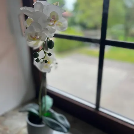 Apartamento 3 Sz - Lichtenberg Salzgitter