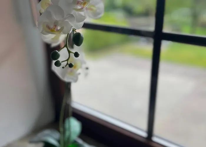 Апартаменты 3 Sz - Lichtenberg Зальцгиттер